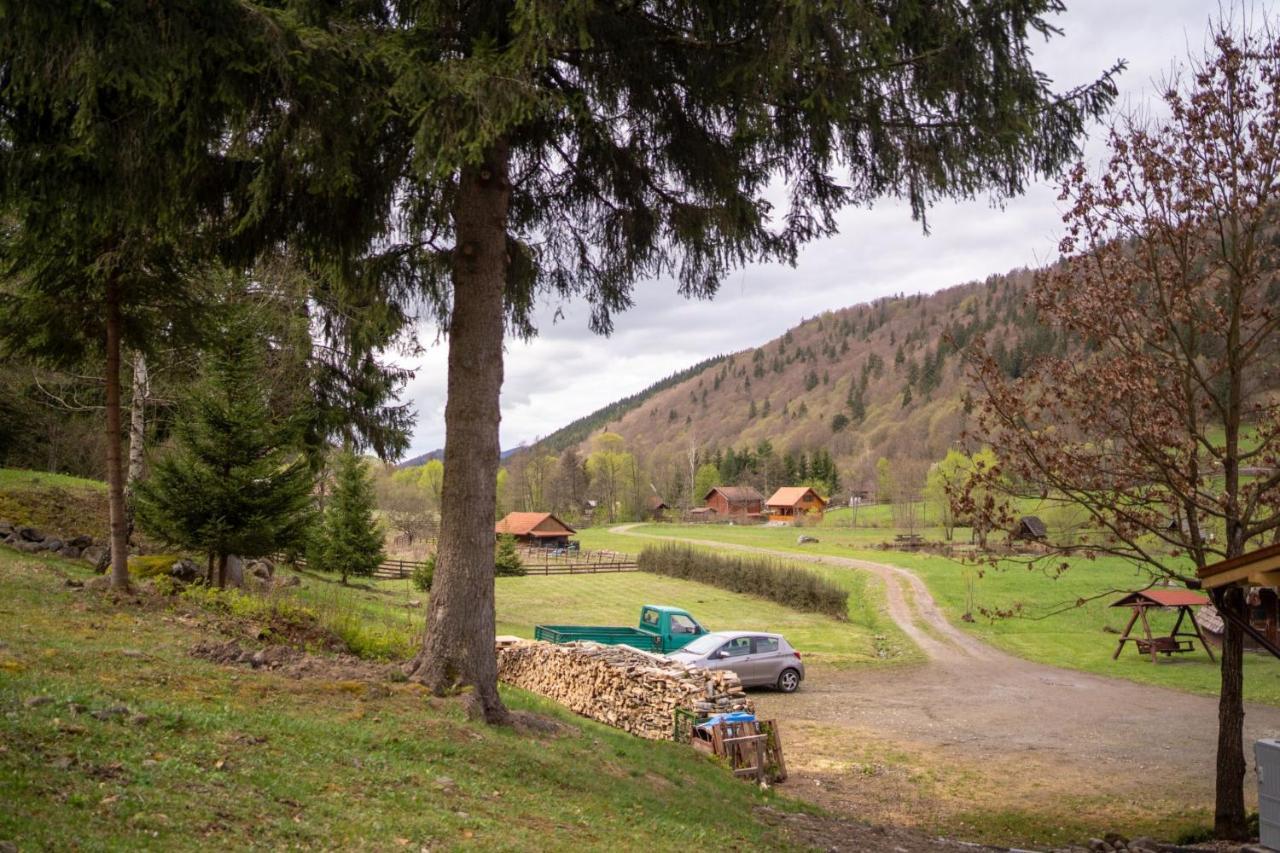 3A Guest House Sicasău Екстериор снимка