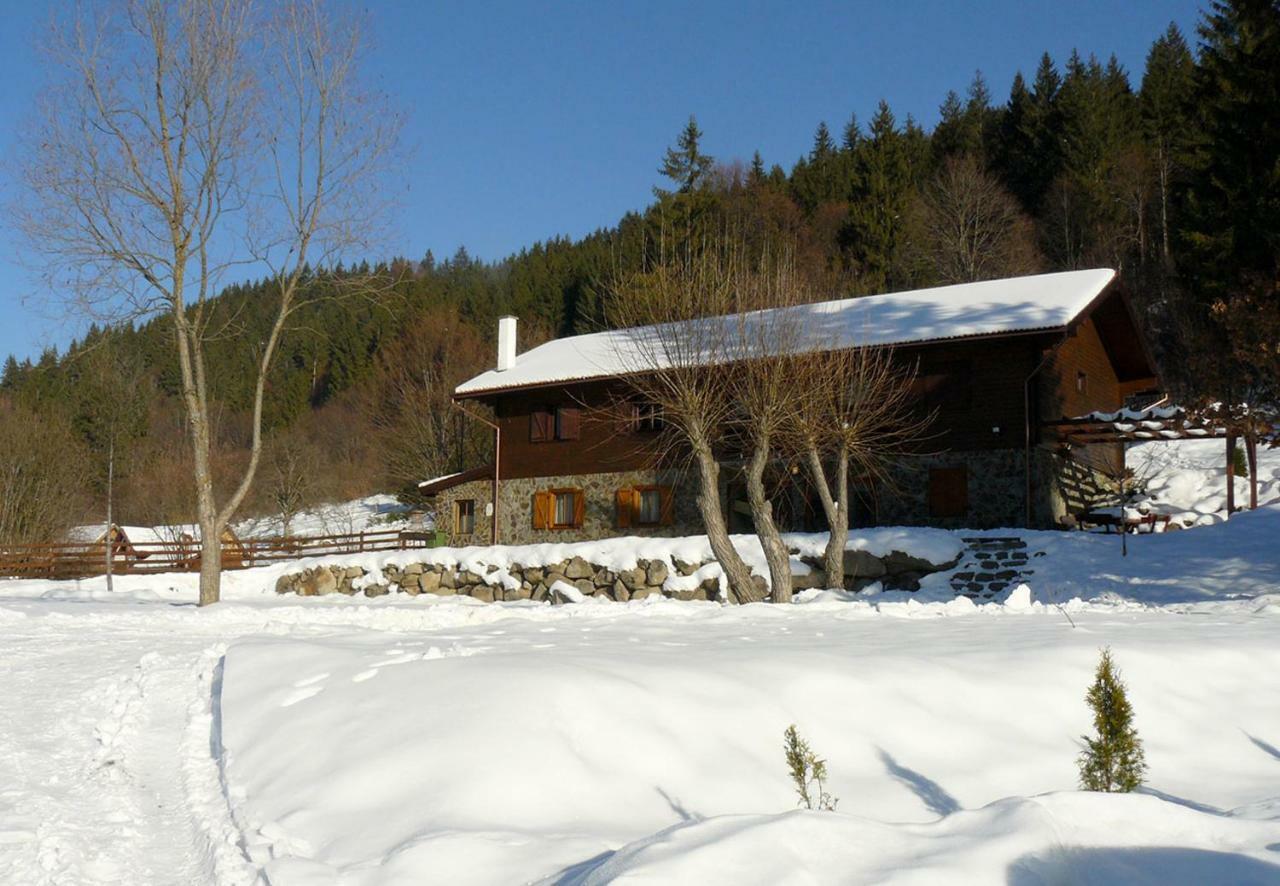 3A Guest House Sicasău Екстериор снимка